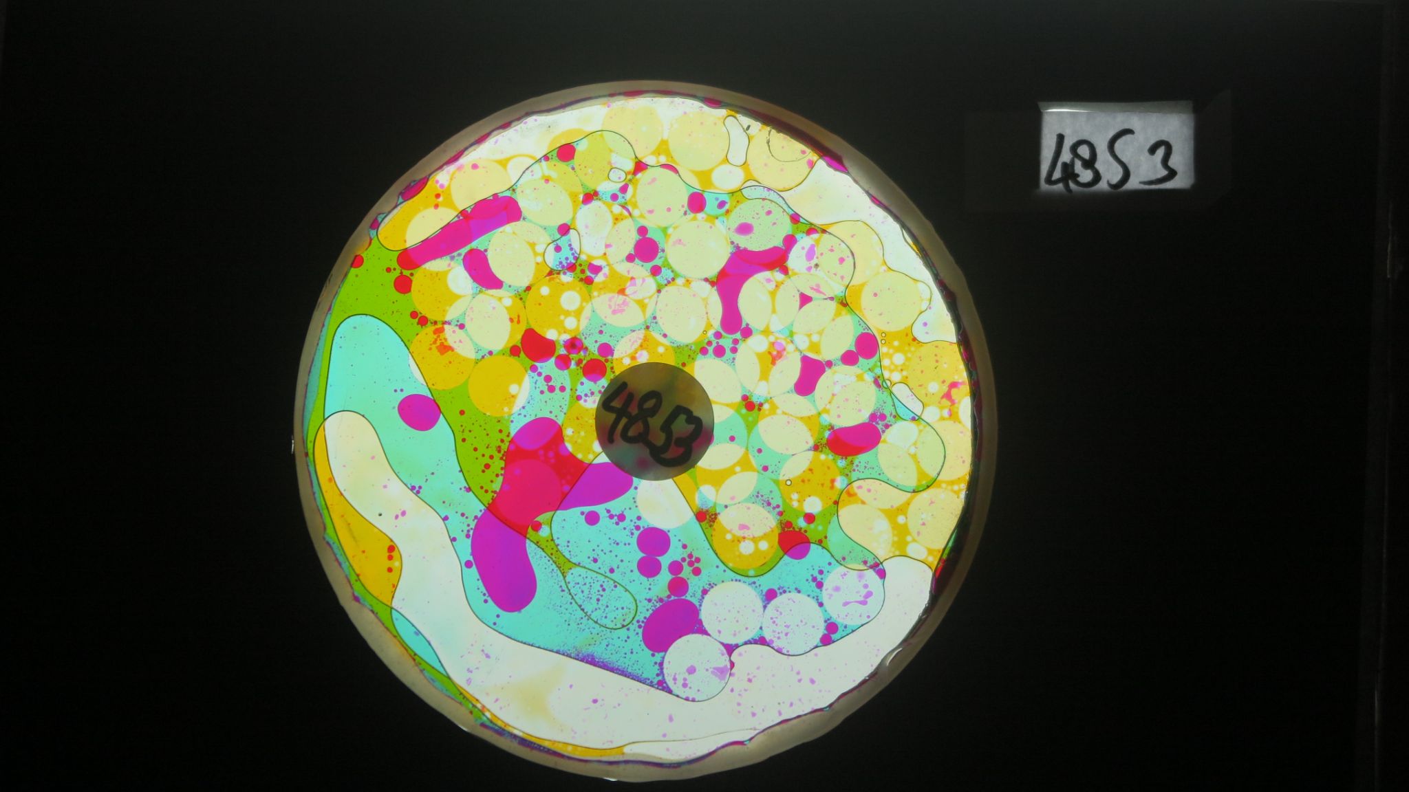 BV4853 bubble vision oil wheel